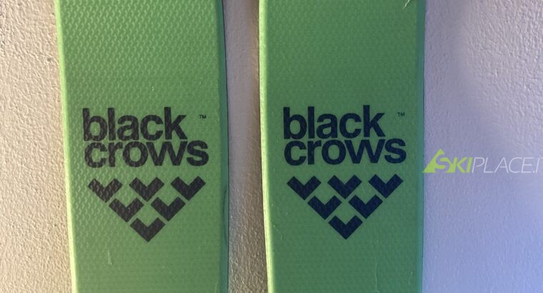 Black Crows Navis Freebird